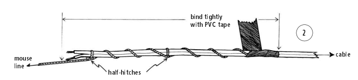 Mouse line diagram 2