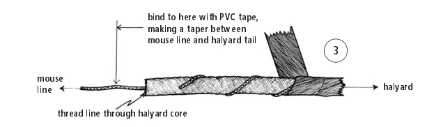 Mouse line diagram 3