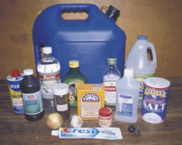 Just a few of the many common ingredients found aboard ship that can be used to make a multitude of homemade cleaners/polishes.