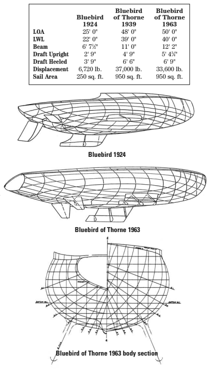 Comparison between Bluebird 1924, Bluebird of Thorne 1939, and Bluebird of Thorne 1963