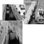 Creative docking with the help of a fenderboard aboard Windigo III.