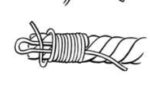 Common whipping