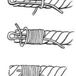 Common whipping