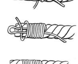 Common whipping