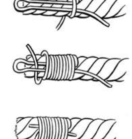 Common whipping