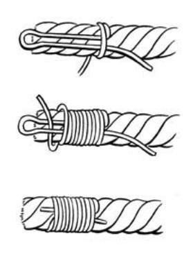Common whipping