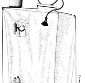 Shower diagram