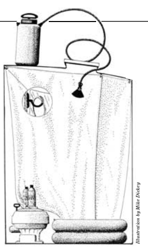 Shower diagram