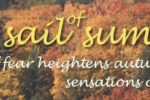 Picture of an autumn forest