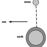 Neap tides occur when the moon is in its first or last quarter and produce smaller ranges of tides because the sun and the moon are attracting the earth’s waters at right angles to each other.
