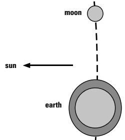 Neap tides occur when the moon is in its first or last quarter and produce smaller ranges of tides because the sun and the moon are attracting the earth’s waters at right angles to each other.