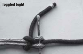 Toggled bight