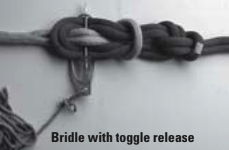 Bridle with toggle release