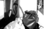Tough vinyl-coated nylon dry bags used by kayakers hold accumulated trash until a dumpster can be found.