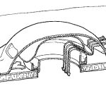 Passive vent cutaway view