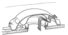 Passive vent cutaway view