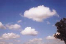 Cumulus (humilis). “Woolly fleeces deck the heavenly way, make sure no rain will mar the day.”