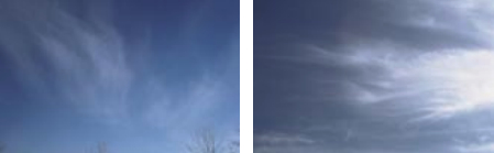 Cirrus. “Mare’s tails, leave short sails.” * (Forecast: good weather, perhaps the approach of a warm front.)