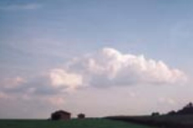 Cumulus (mediocris). Still a fair-weather cloud; this phase of cumulus is often a transition stage between the lesser humilis and the more developed congestus stage.