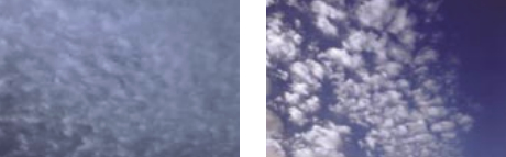 Altocumulus (floccus) resembles a flock of sheep standing close together in a sky pasture.