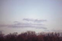 Stratocumulus formed from the spreading out of cumulus.