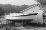 Bluebonnet appears to be at peace in her rural setting as she awaits her launch date.