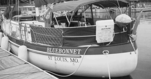 Bluebonnet floating at dock