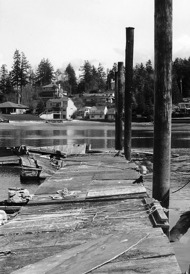 Deferred Maintenance Marina may not seem like much at first, but it grows on you.