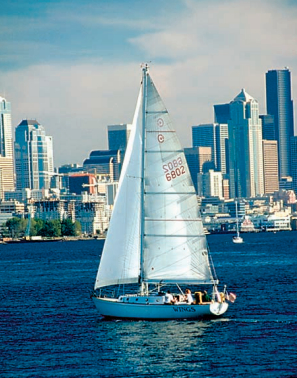 Wings enhances the Seattle skyline.