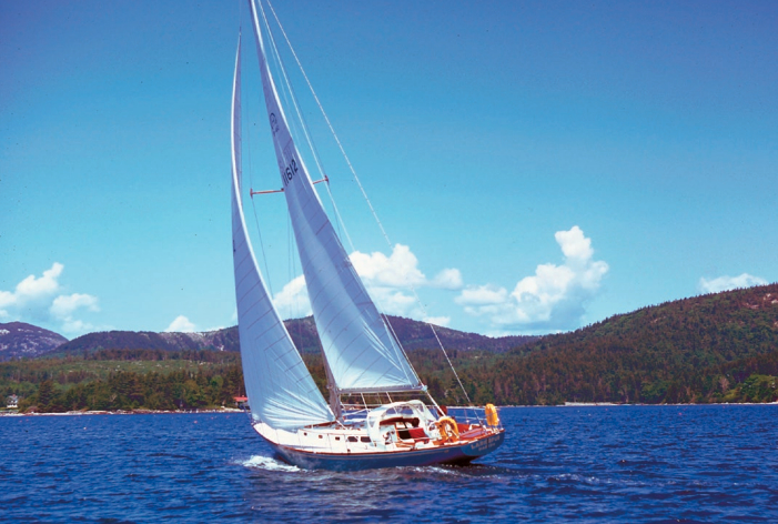 Picture of a Bermuda 40