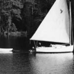 Before the refit: Dabbler as a Marshall Cat Sanderling.