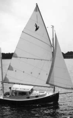 One of a kind: Dabbler following the “transmogrification.”