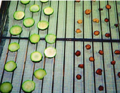 Zucchini before drying, at left, and ready for storage, at right.