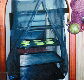 Drying apples in the Food PANtrie aboard Lindsay Christine.