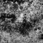 Up close and personal: a shot of a moldy wall in a home that experienced standing water for more than a month.