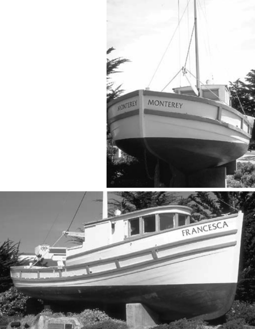 Visitors to Monterey, Calif., are greeted by the Francesca, on display in the heart of the shoreside community. A sign, commemorating the area’s commercial fishing fleet and its Sicilian fishermen, says she’s a 1937 Monterey-style salmon troller.
