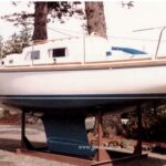 Scott Hartman’s Sailfish II shows her Robert Smith lines.