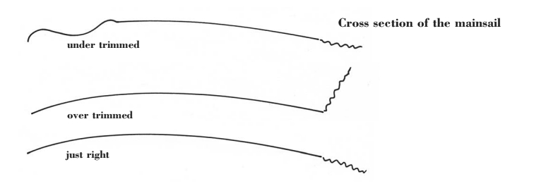 Adjust the mainsheet and vang(s) to make the trailing edge telltails fly straight back.