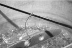 To get a matte finish, I submerged the cleat in a lye (sodium hydroxide) solution.
