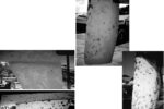 This and the facing page show Parnassus in Phases One and Two. The first shots show the blisters shortly after Parnassus was hauled out. The second set of shots show Parnassus with blister locations, dates and moisture meter readings marked.