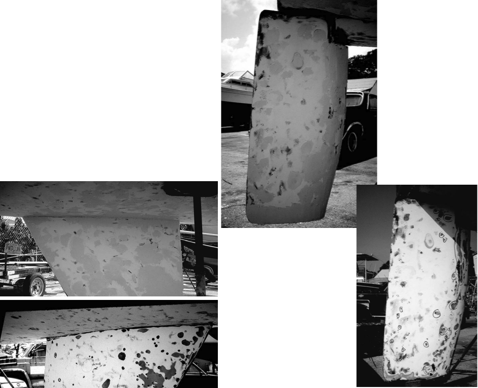 This and the facing page show Parnassus in Phases One and Two. The first shots show the blisters shortly after Parnassus was hauled out. The second set of shots show Parnassus with blister locations, dates and moisture meter readings marked.