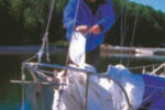 Picture of a man working on a boat