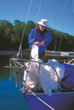 Picture of a man working on a boat