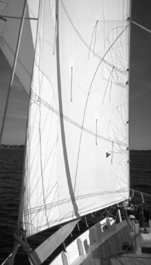 The staysail can be hoisted or lowered easily to add or remove area.