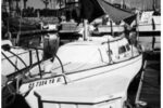 Seaker’s ready to celebrate Buccaneer Days on Catalina Island.