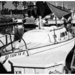 Seaker’s ready to celebrate Buccaneer Days on Catalina Island.