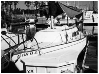 Seaker’s ready to celebrate Buccaneer Days on Catalina Island.