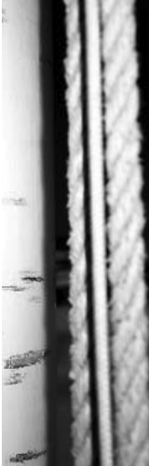 Chafe on the mast is an issue because of noise and wear.