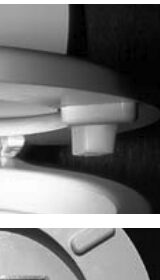 Pictures of a newly re-screwed toilet seat