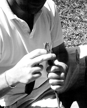 Chip cuts and examines a wire bundle.